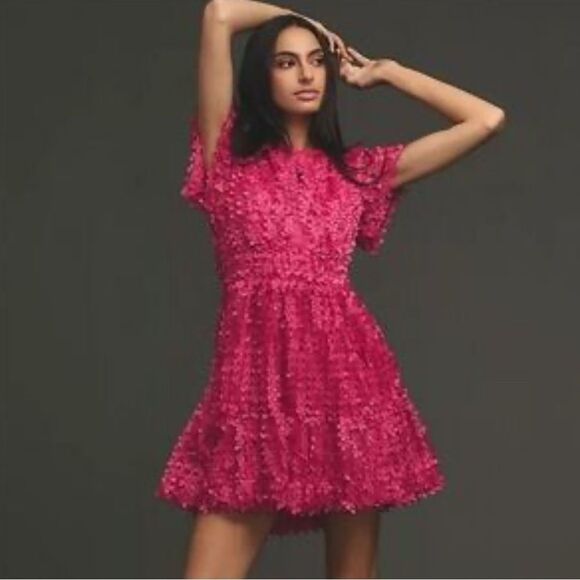 NWT The Somerset Mini Dress: Floral Appliqué Edition - Picture 1 of 12